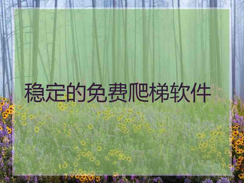 稳定的免费爬梯软件