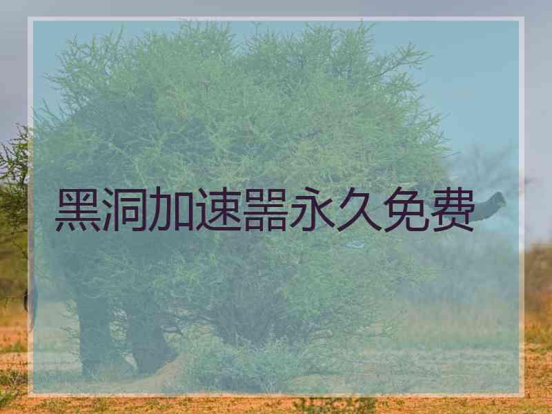 黑洞加速噐永久免费