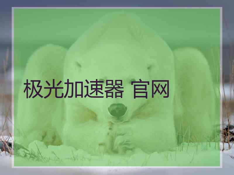 极光加速器 官网