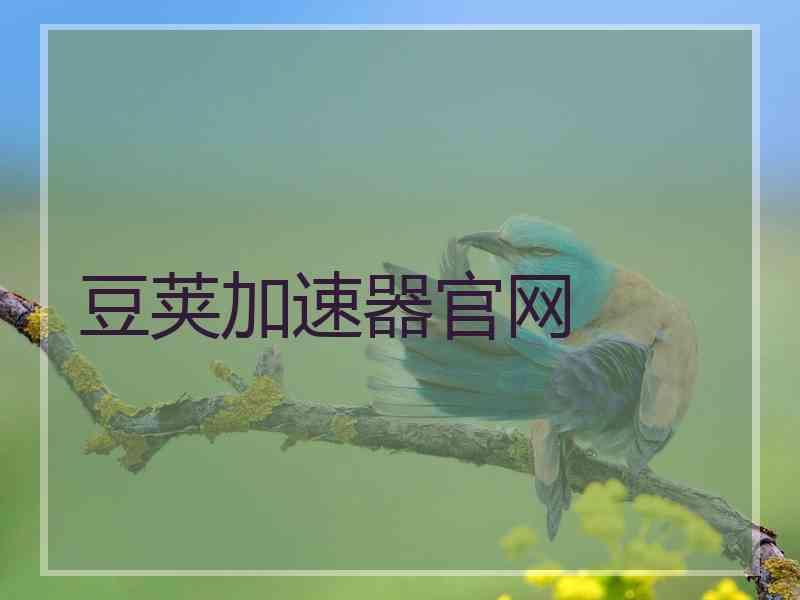豆荚加速器官网
