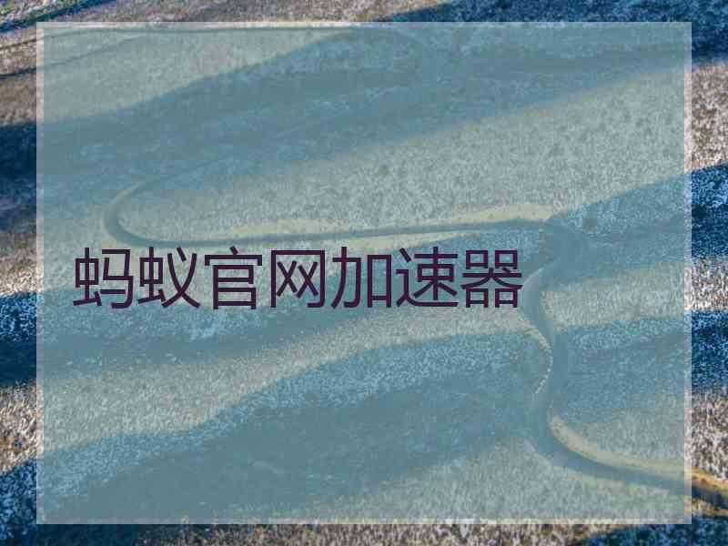 蚂蚁官网加速器