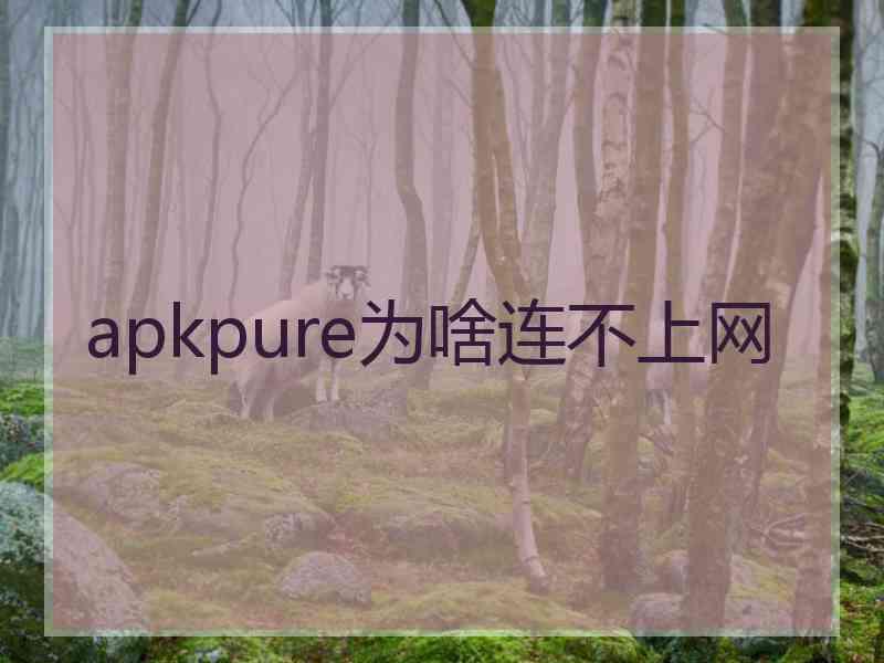 apkpure为啥连不上网