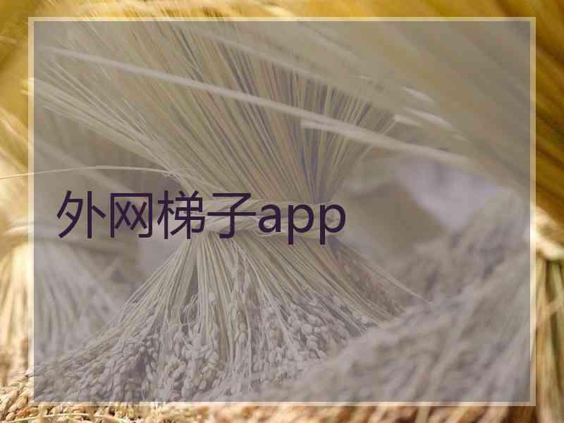 外网梯子app