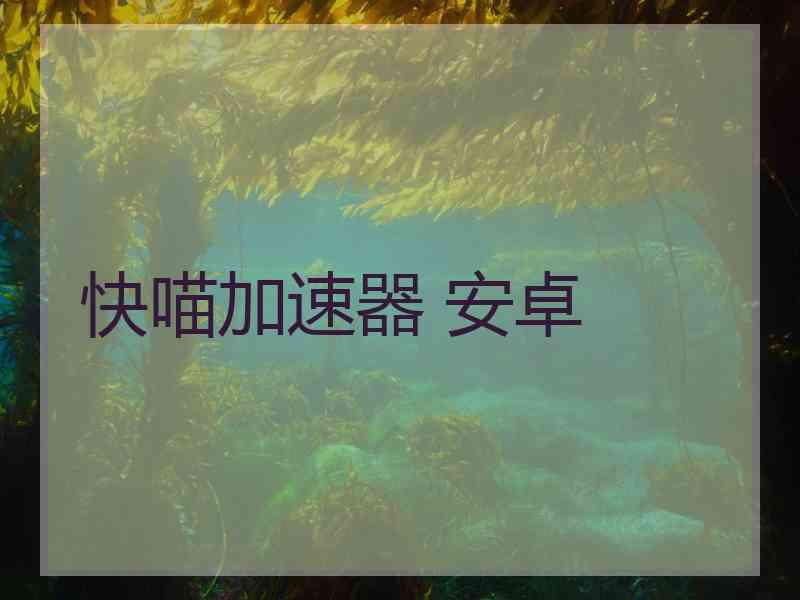 快喵加速器 安卓