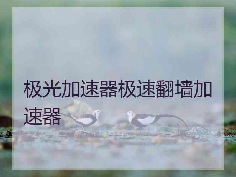 极光加速器极速翻墙加速器