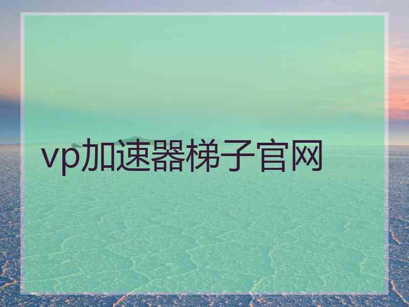 vp加速器梯子官网