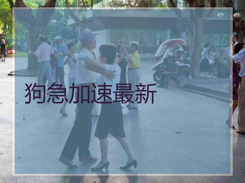 狗急加速最新