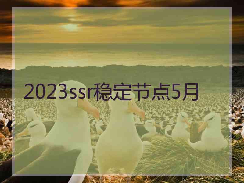 2023ssr稳定节点5月