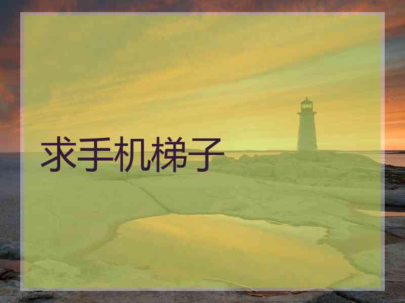 求手机梯子