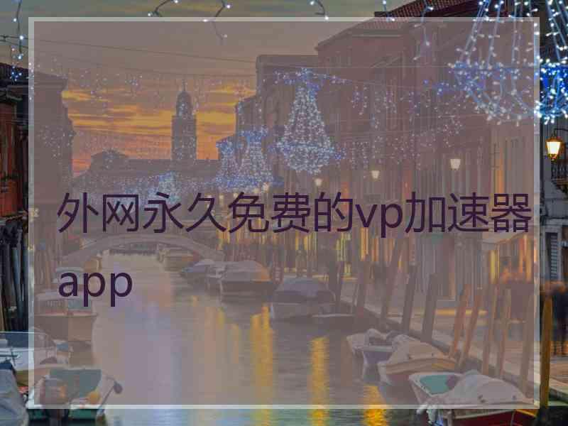 外网永久免费的vp加速器app