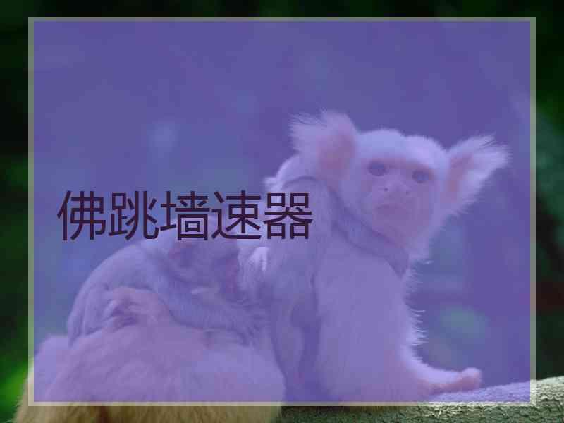 佛跳墙速器