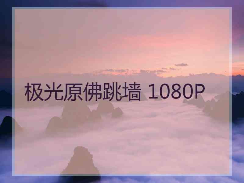 极光原佛跳墙 1080P