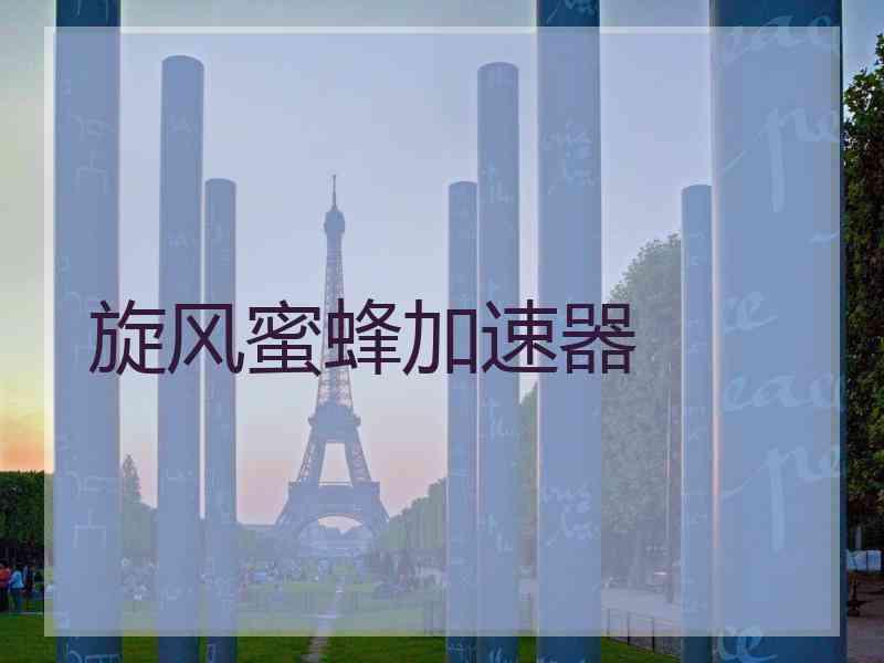 旋风蜜蜂加速器