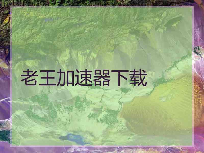 老王加速器下载