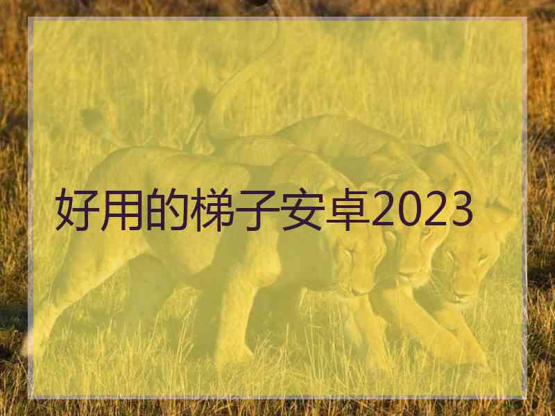 好用的梯子安卓2023