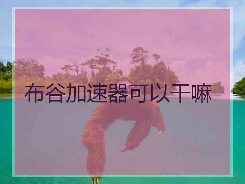 布谷加速器可以干嘛