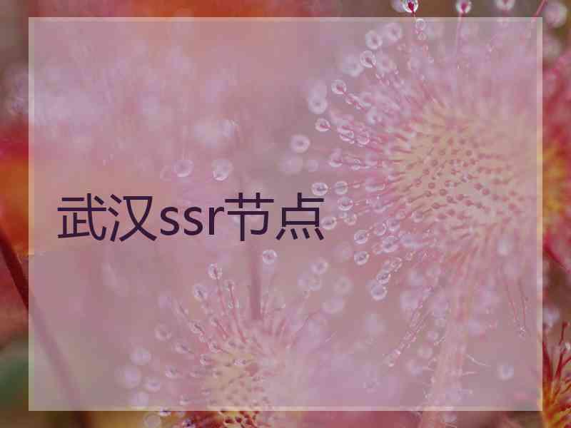 武汉ssr节点