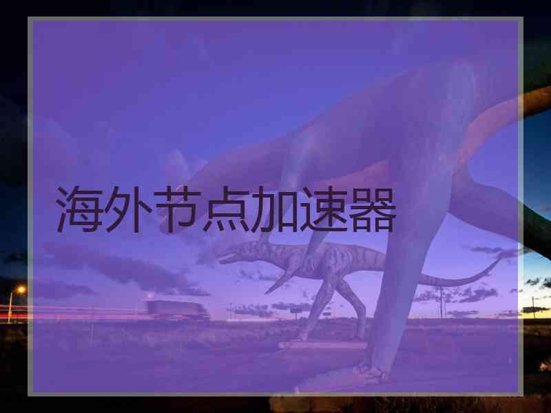 海外节点加速器