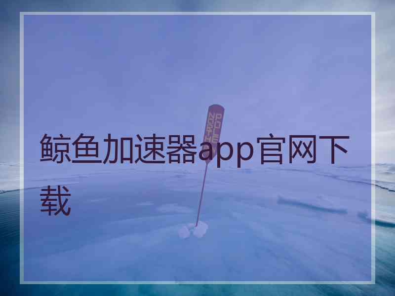 鲸鱼加速器app官网下载
