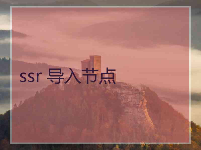 ssr 导入节点