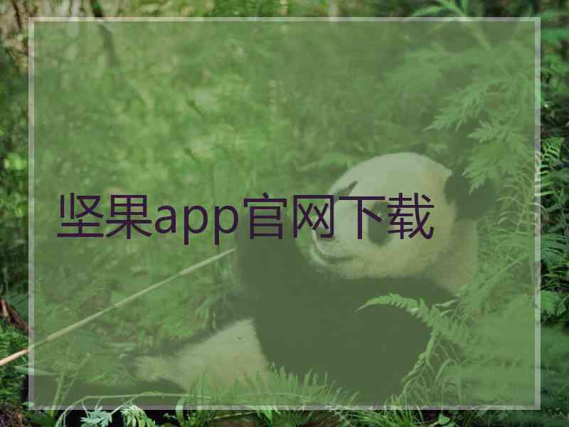 坚果app官网下载