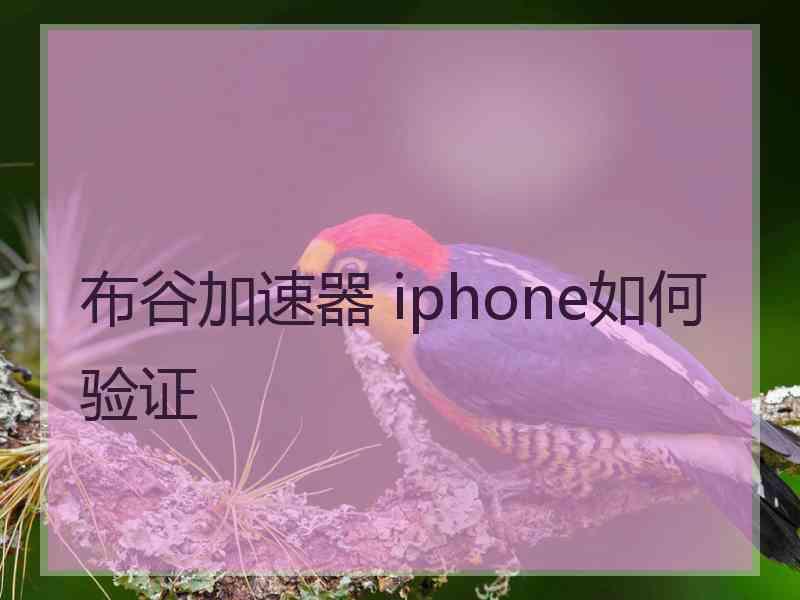 布谷加速器 iphone如何验证