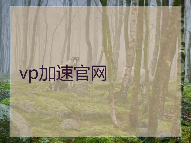 vp加速官网
