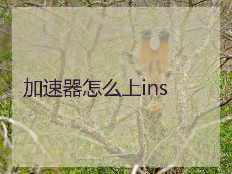 加速器怎么上ins