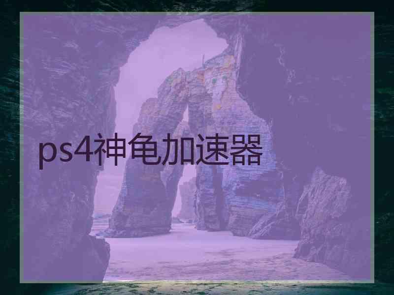 ps4神龟加速器