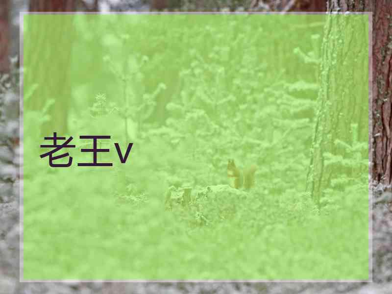 老王v
