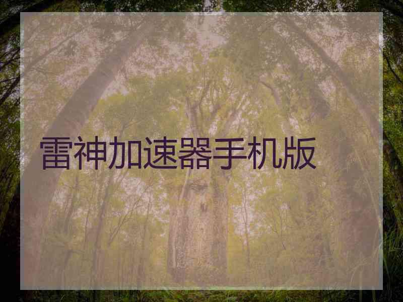 雷神加速器手机版