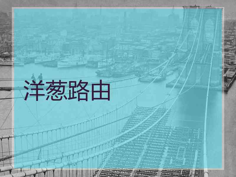 洋葱路由