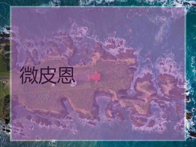 微皮恩