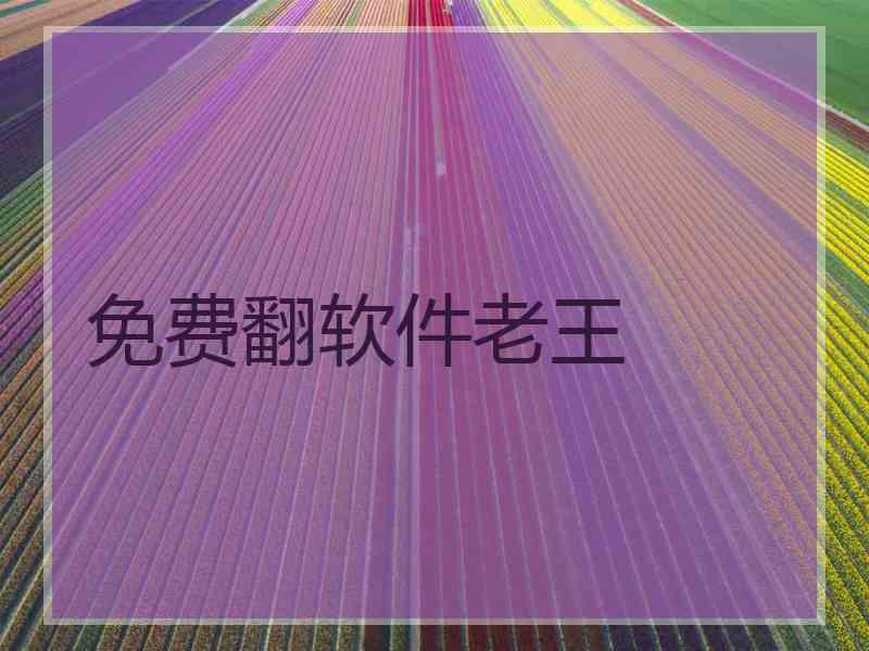 免费翻软件老王