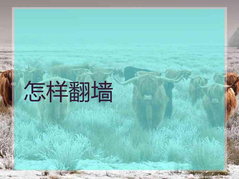 怎样翻墙