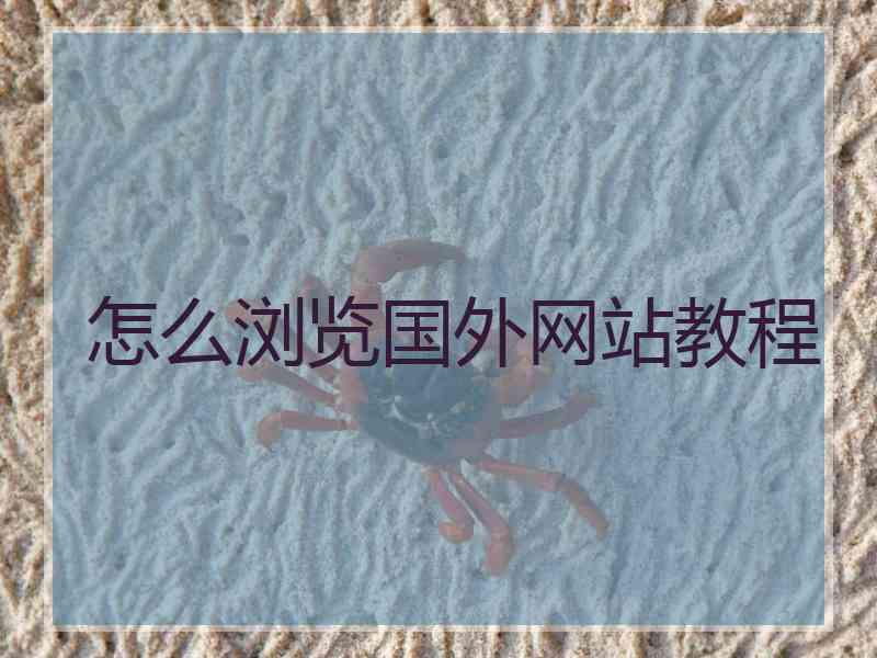 怎么浏览国外网站教程
