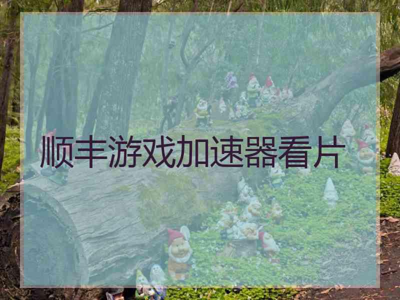 顺丰游戏加速器看片