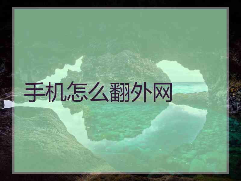 手机怎么翻外网
