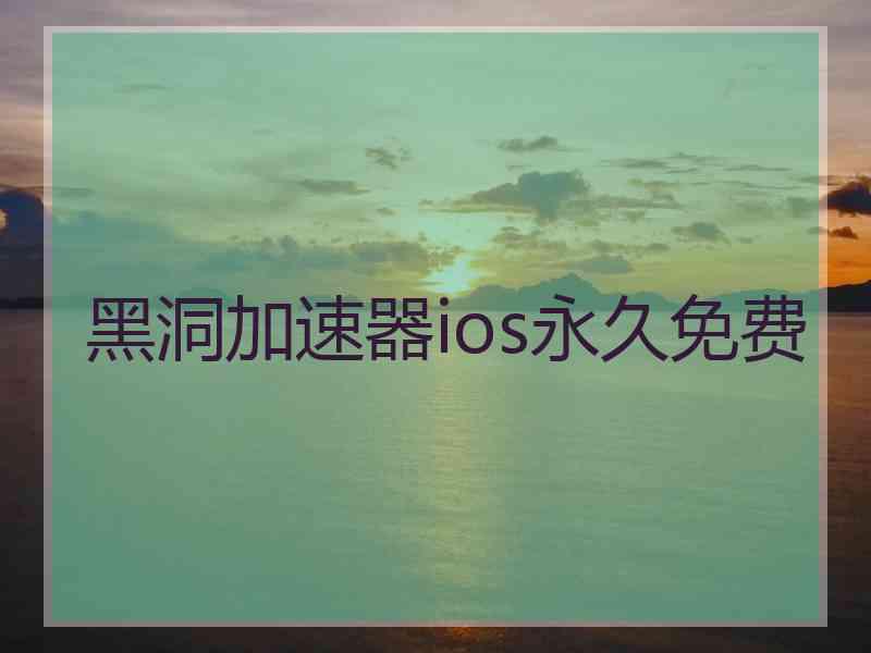 黑洞加速器ios永久免费