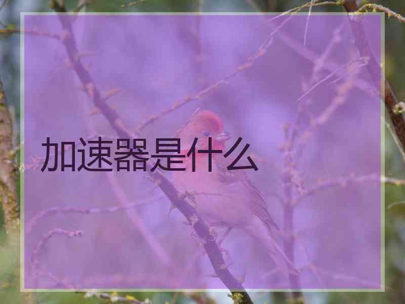 加速器是什么