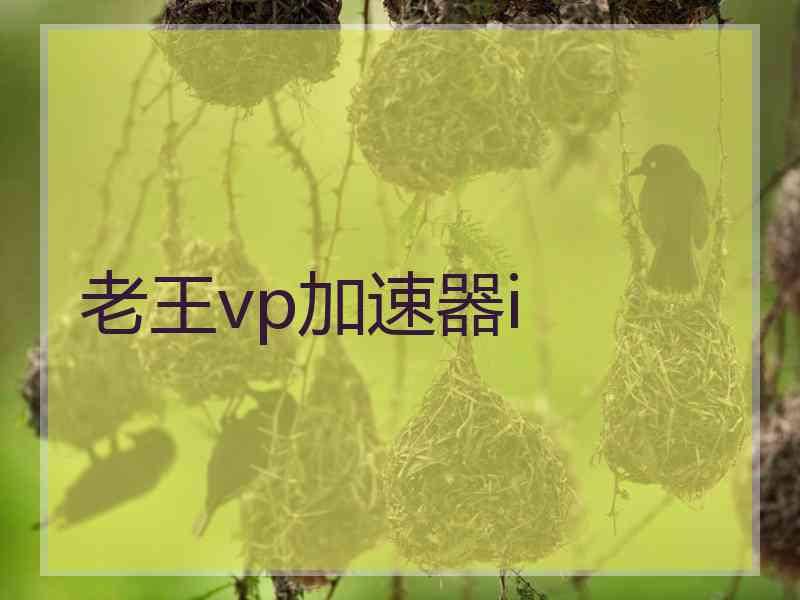 老王vp加速器i