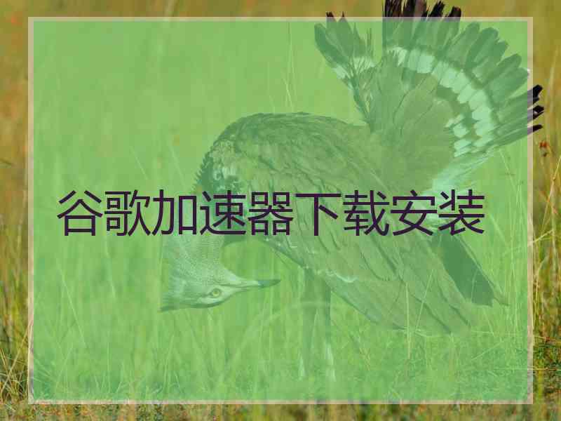 谷歌加速器下载安装