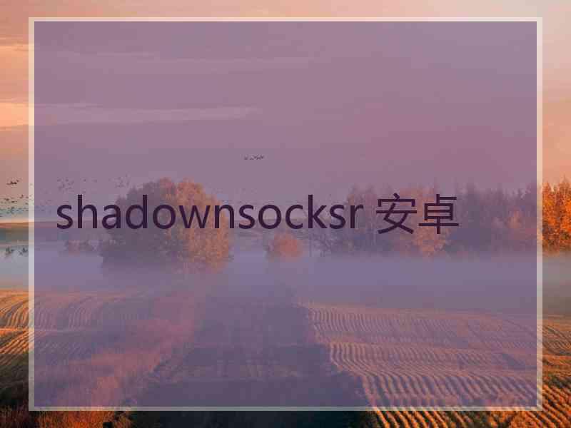 shadownsocksr 安卓