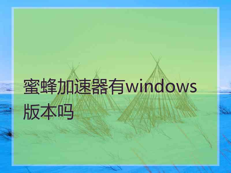 蜜蜂加速器有windows版本吗
