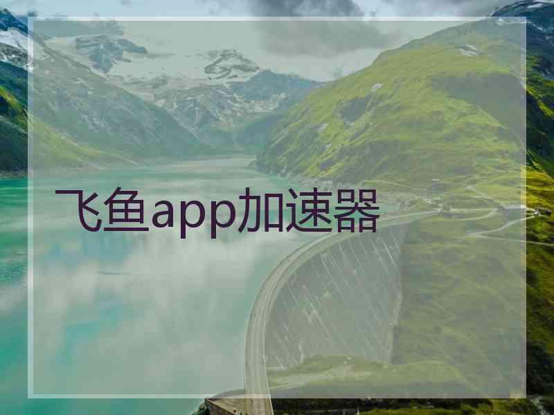 飞鱼app加速器