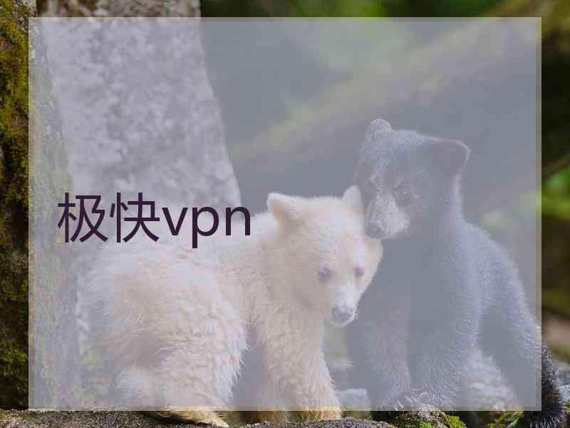 极快vpn