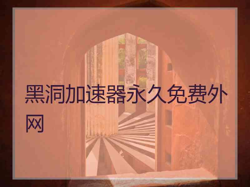 黑洞加速器永久免费外网