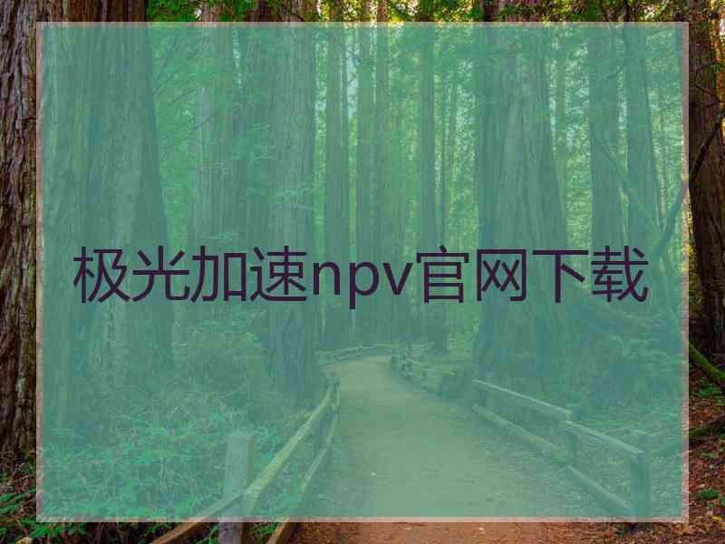 极光加速npv官网下载