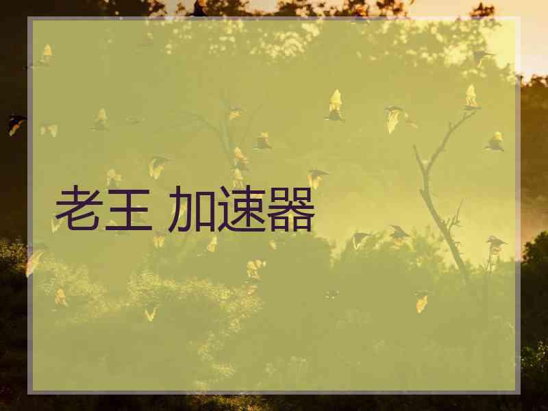 老王 加速器