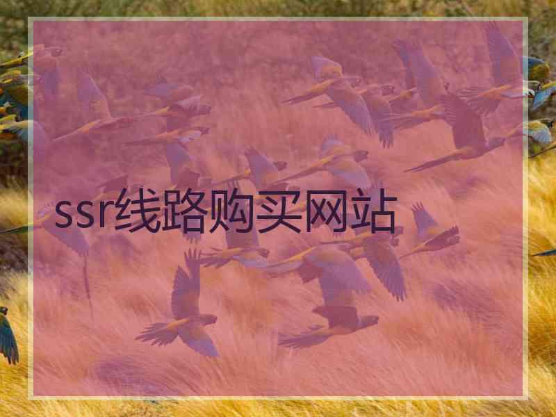 ssr线路购买网站